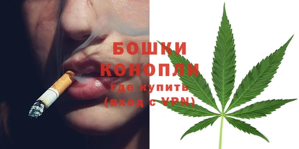 стаф Баксан