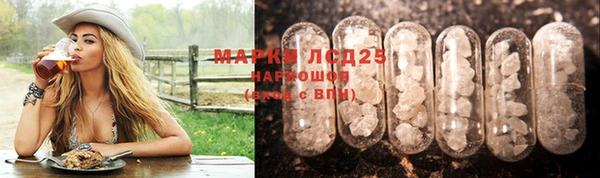 стаф Баксан